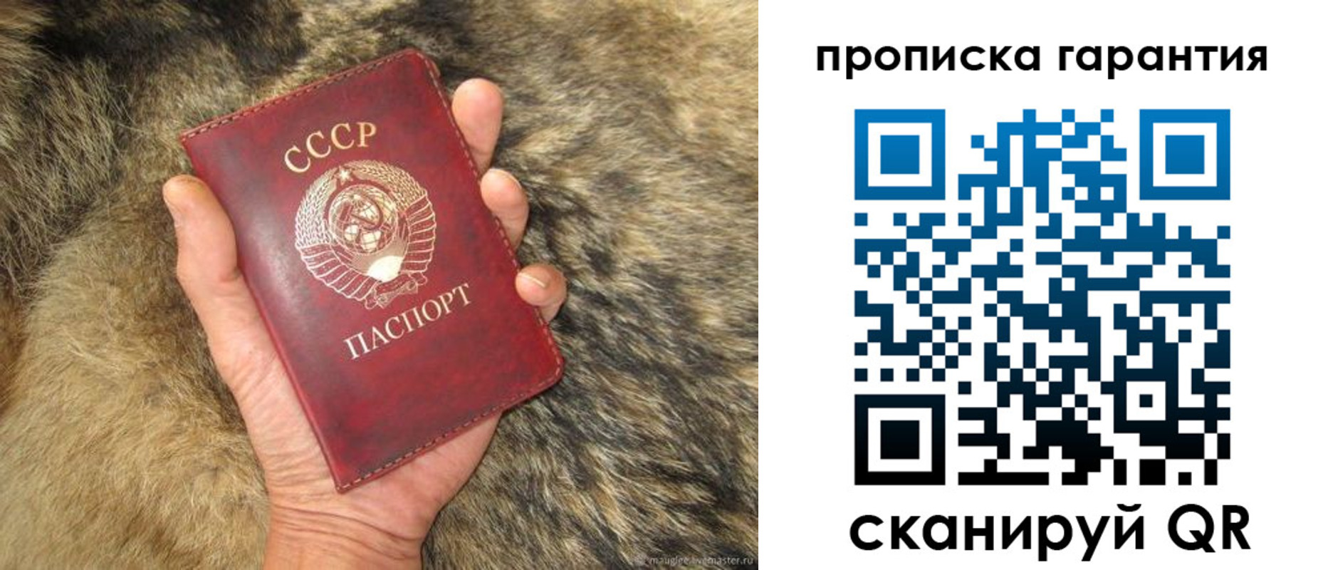 прописка паспорт в Мурманской области